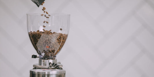Person preparing coffee after freezing coffee beans
