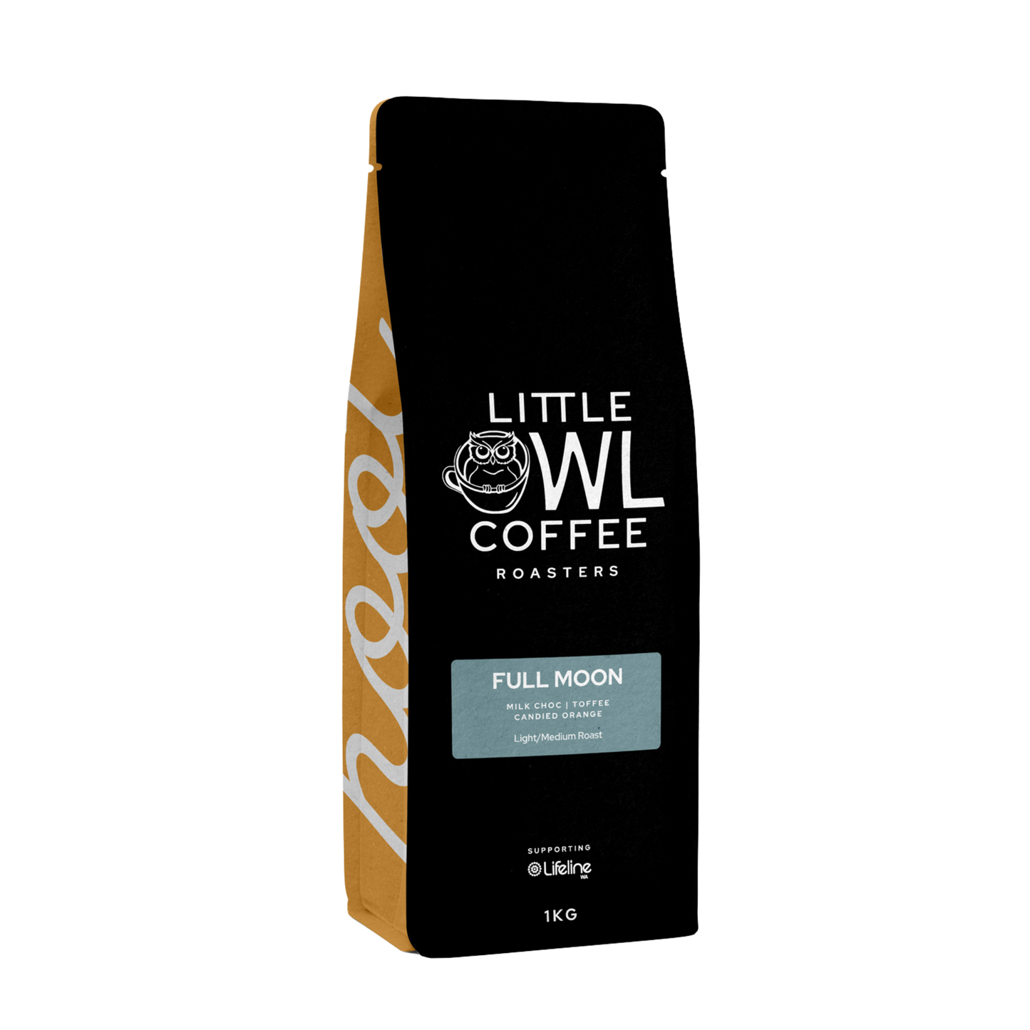 Little Owl Full Moon