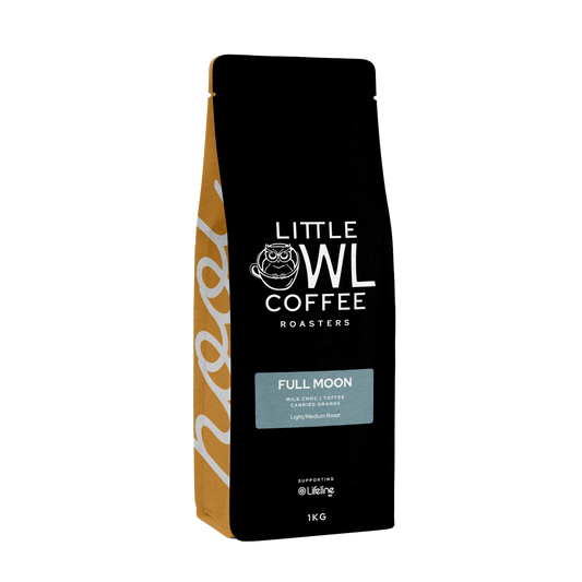 Little Owl Full Moon
