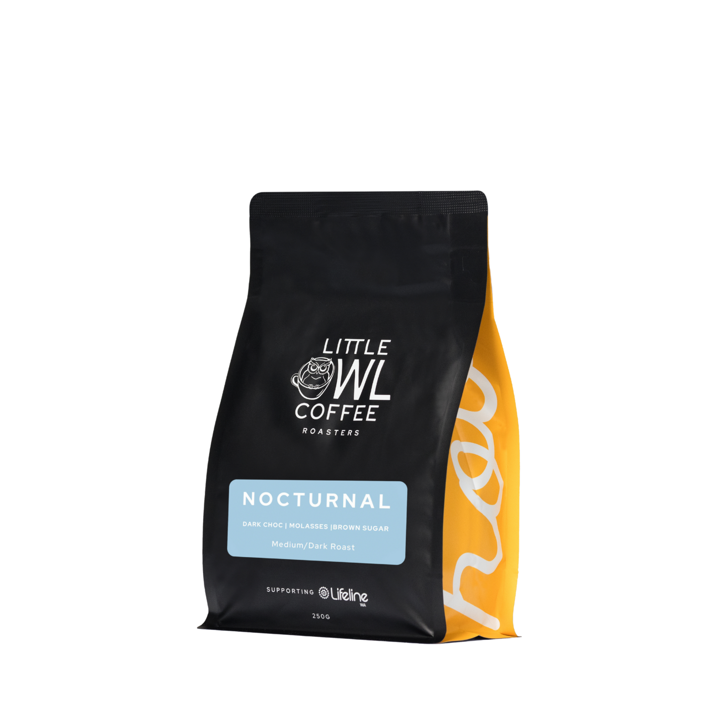 Little Owl Nocturnal