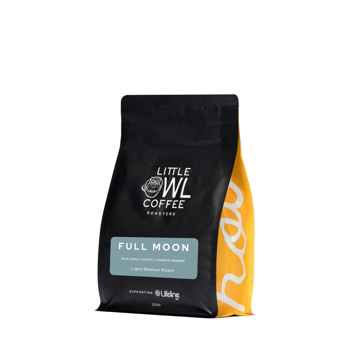 Little Owl Full Moon